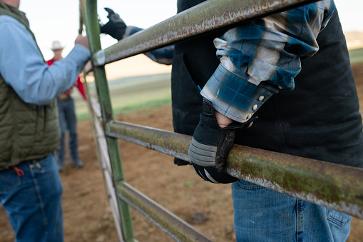 Close up ranchers hands carrying metal gate to build fence mid shot.