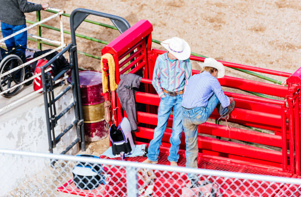 istock University rodeo young cowboys getting ready tying on spurs protective clothing next to them 992624038