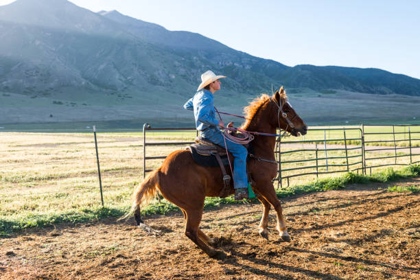 istock Young rancher pulling his horse to a halt 992624936