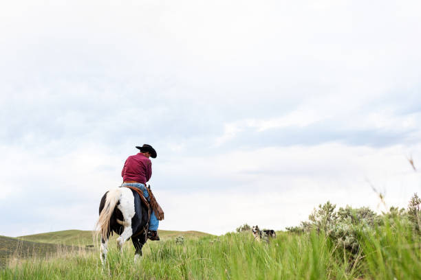 istock Cowboy and his dog 992625628