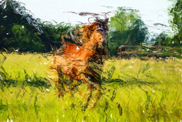 istock Beautiful horse galloping through fields - HD Digital illustration 992631076