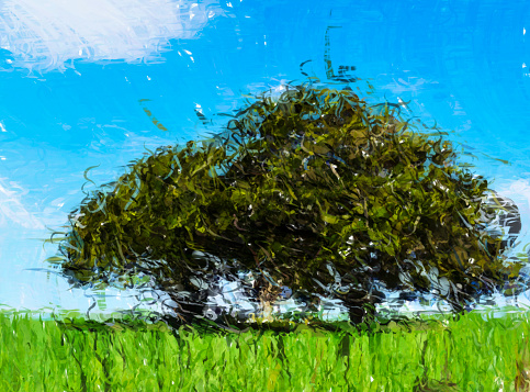 A high definition digital illustration of a Trees in grass field in summertime