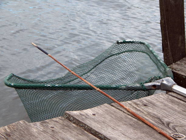 istock Fishing tackles for fishing rods, floats, nets 992650382