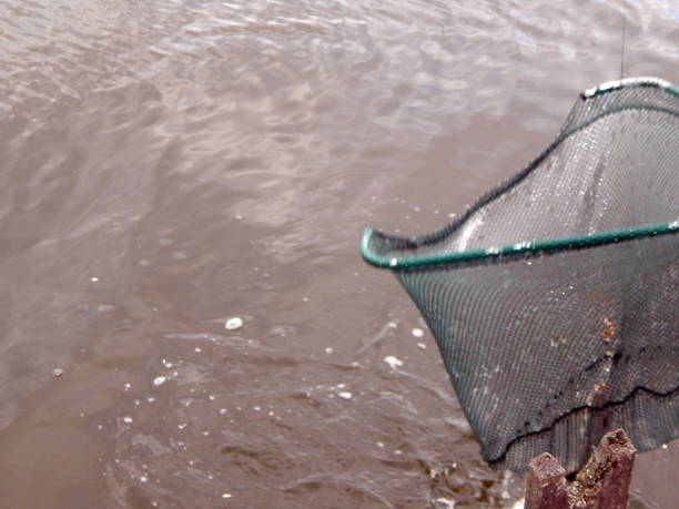 istock Fishing tackles for fishing rods, floats, nets 992650404