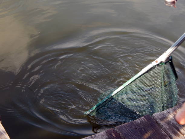 istock Fishing tackles for fishing rods, floats, nets 992650432