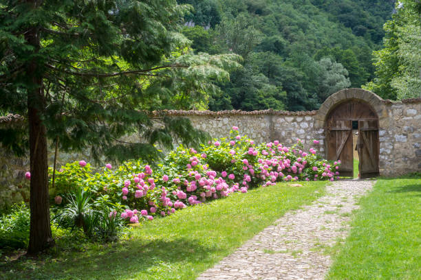 istock Courtyard with a walkway and flowers, stone fence 992650714