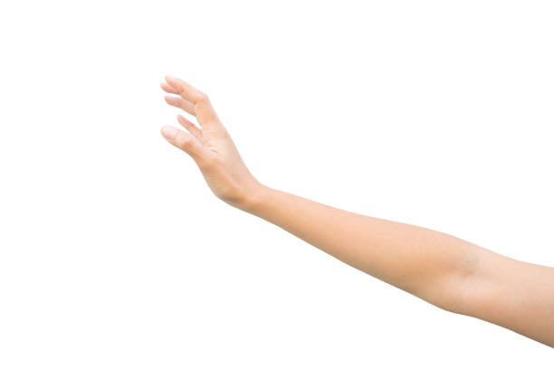 到達するか何かを取得しようとしている女性の右の手。左に手を差し伸べる。白い背景に分離 - human hand reaching human arm gripping ストックフォトと画像