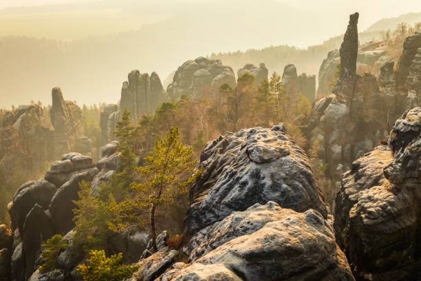 istock Saxon Switzerland National Park 992693828