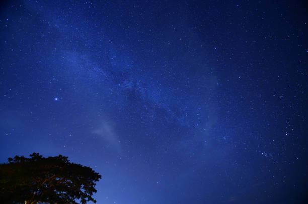 istock Night sky with the Milky Way 992710584