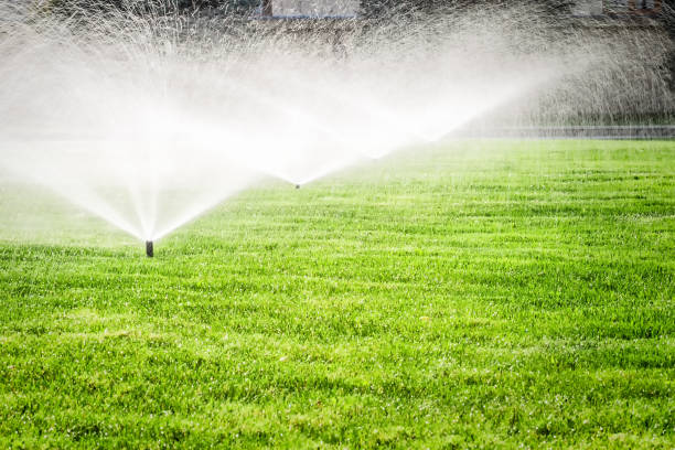 istock Sprinkler on the grass field 992723160