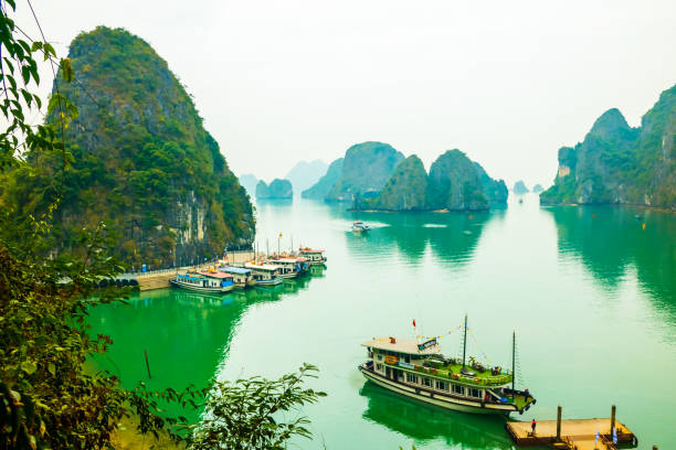 istock View point Ha Long Bay, limestone mountains, with cruise ships, Vietnam 992723162