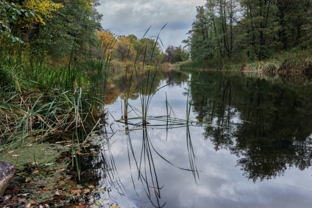 istock Silence and calm in the autumn on the Bityug river 992726538