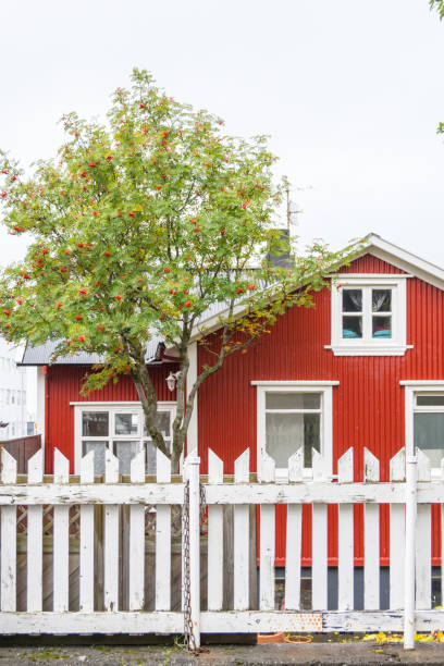 istock Houses in Reykjavik 992730578