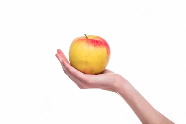 Photo of apple in the hands of women