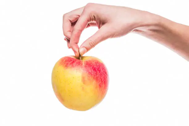 Photo of apple in the hands of women