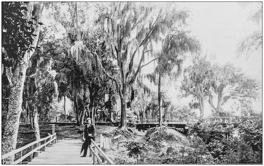 Antique photograph of America's famous landscapes: Bienville Park, Mobile, Alabama