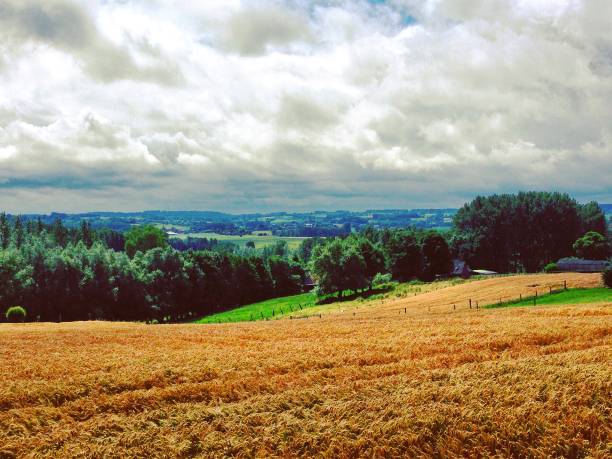 sundown dusk sunset vibrant sky rolling hills countryside rural scenic view