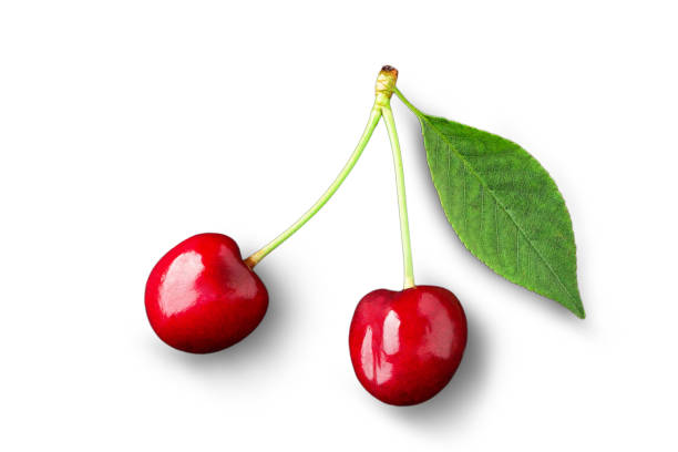 istock Cherries with leaf closeup isolated on white background. Cherry 992740756