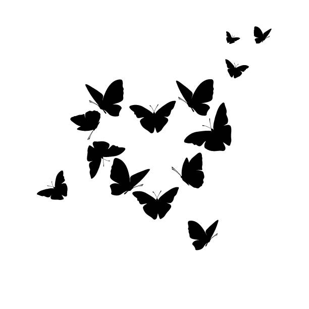 Butterfly composition Butterfly composition, set, vector, silhouettes pics of a butterfly flying stock illustrations