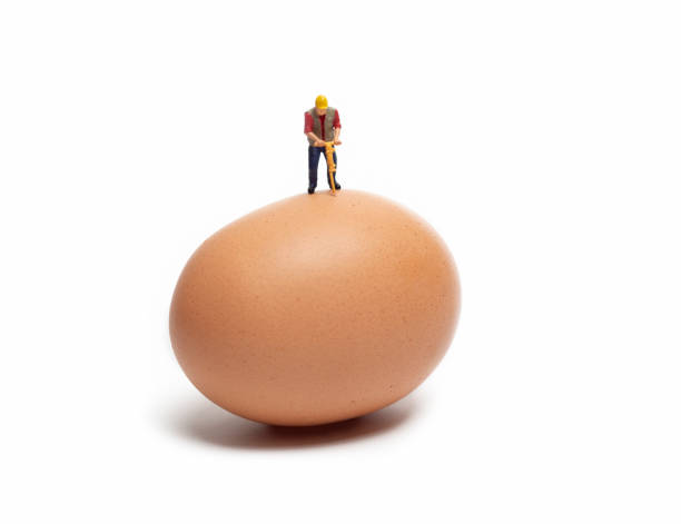 Miniature Worker Drilling On Top Of An Egg, Isolated On White Background
