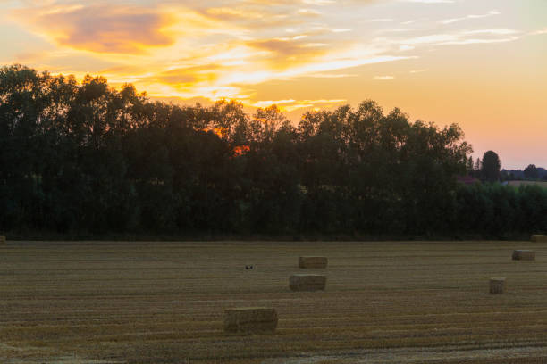 istock sundown dusk sunset vibrant sky rolling hills countryside rural scenic view 992766700