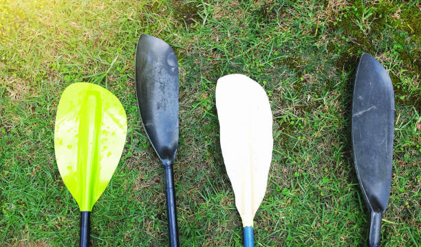 istock Four varied canoe paddles lying in grass 992769392