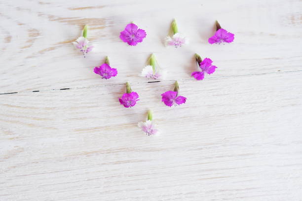 istock Chamaenerion flowers on white wooden background 992769582