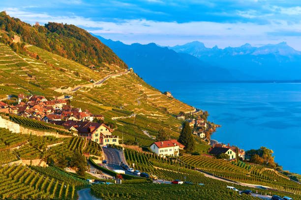 istock Lavaux Vineyards at Sunset, Switzerland 992769824