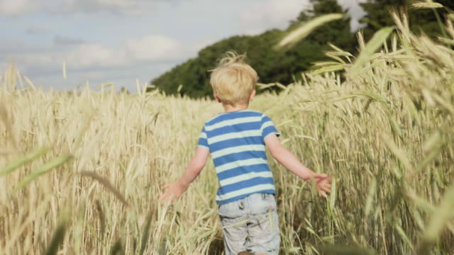 Boy running through wheat