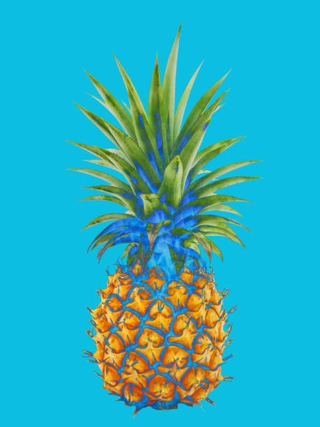 istock Fashion Hipster Pineapple. 992787728
