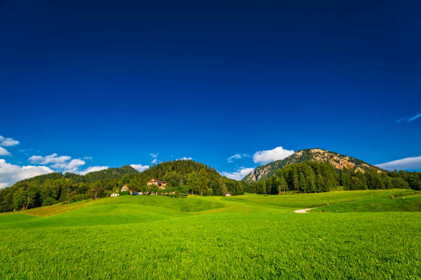 istock Alpine mountain landscape with the green meadow (HDRi) 992790676