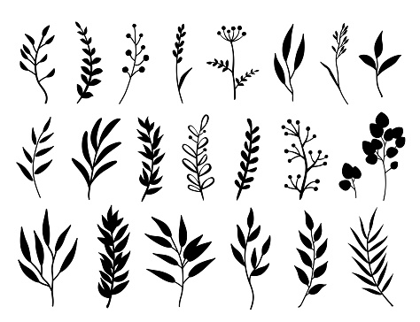 set of black branches, twigs, flowers and herbs silhouettes