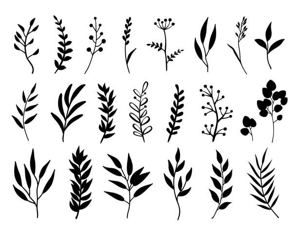 set of black branches and herbs set of black branches, twigs, flowers and herbs silhouettes branch stock illustrations