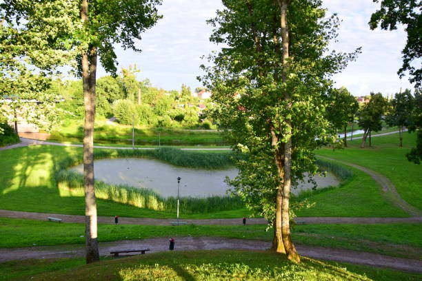 istock A view from the top of a hill showing a heart shaped pond between two trees that is covered with some reeds and is located in the very middle of a public park with some benches and paths everywhere 992798302