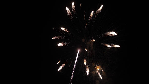 istock Wonderful magic fireworks explosion in the night sky 992798922