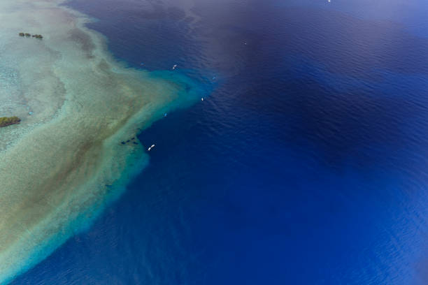 Palau Blue corner and Blue hole - World heritage site -