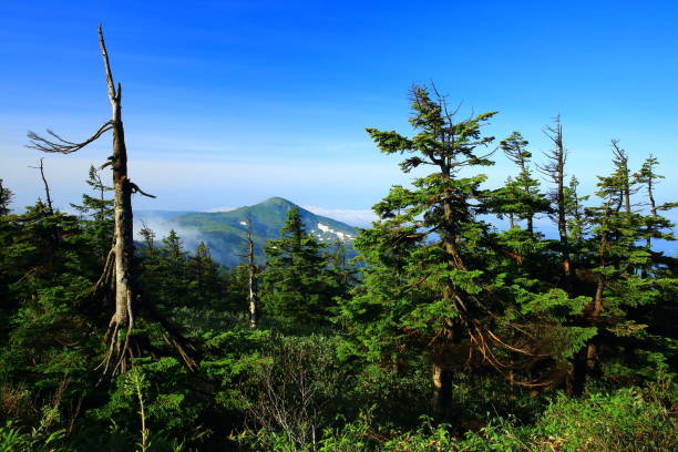 istock Hachimantaira of early summer 992806838