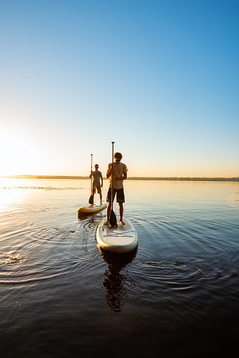 Men, friends relax on a SUP boards in large river during sunset. Stand up paddle boarding - awesome active recreation in nature. Backlight, wide angle.