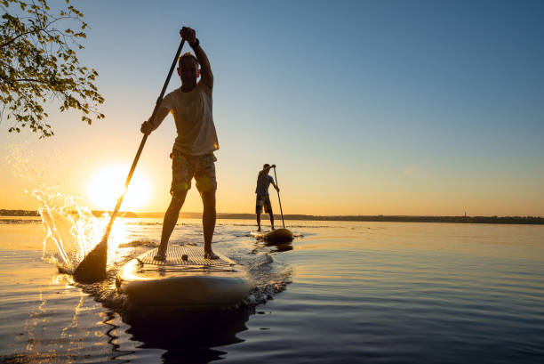 Men, friends sail on a SUP boards in a rays of rising sun Men, friends sail on a SUP boards in a rays of rising sun. Stand up paddle boarding - awesome active recreation in nature. Backlight. paddleboard surfing oar water sport stock pictures, royalty-free photos & images