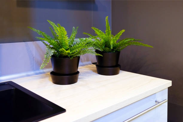 istock Fresh green grass grows in a concrete pot. 992825194