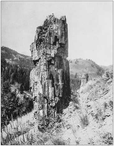 Antique photograph of America's famous landscapes: Petrified Tree, Bad lands of Dakota