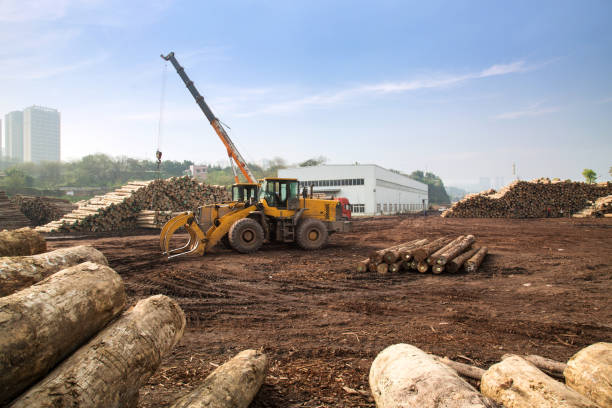 istock Forklift truck grabs wood in a wood processing plant 992837640