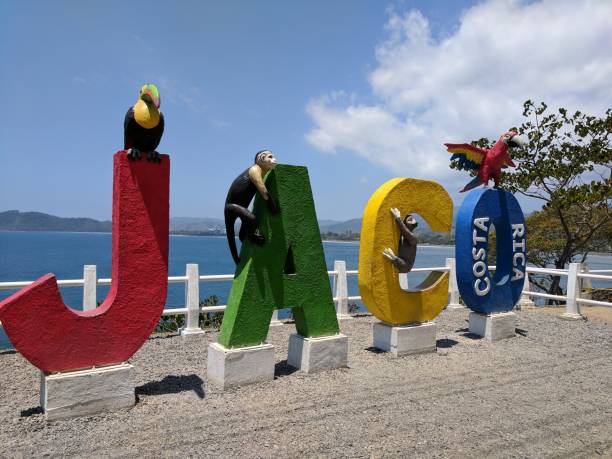 Multi-coloured Jaco name sign with birds and animals
