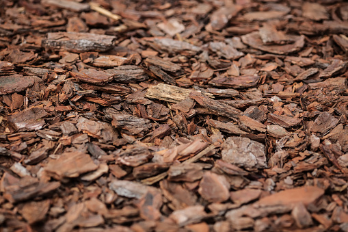 Wood chips stacked on the ground in the wood factory
