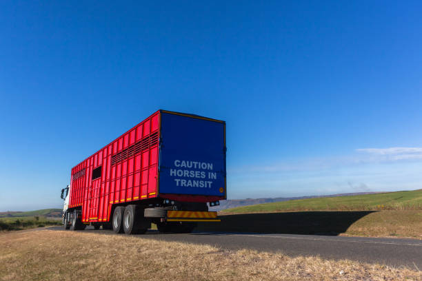 istock Horses Transit Truck Road 992843760