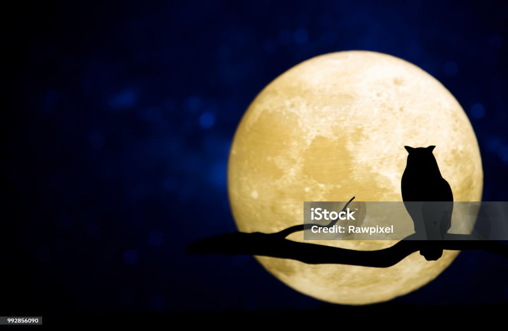 Pleine lune dans le ciel nocturne - Photo de Nuit libre de droits