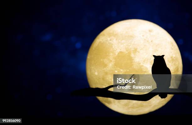 Photo libre de droit de Pleine Lune Dans Le Ciel Nocturne banque d'images et plus d'images libres de droit de Nuit - Nuit, Chouette, Lune
