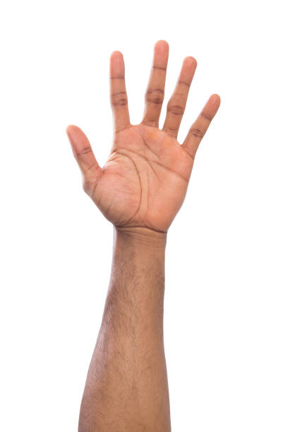 istock Open black palm greeting or counting isolated on white 992860530