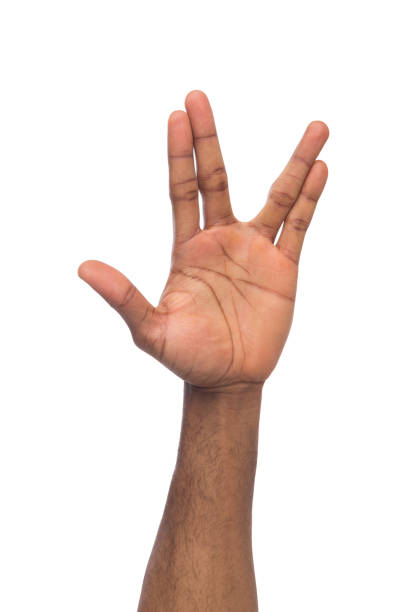 istock Black man hand gesturing in the form of crocodile 992860554