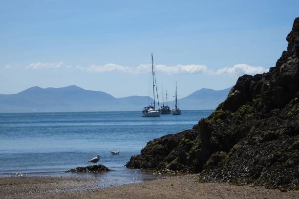 istock Sailing Yachts off the Anglesey Coast, North Wales, UK 992867224